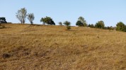 Impression vom Reutebachhof